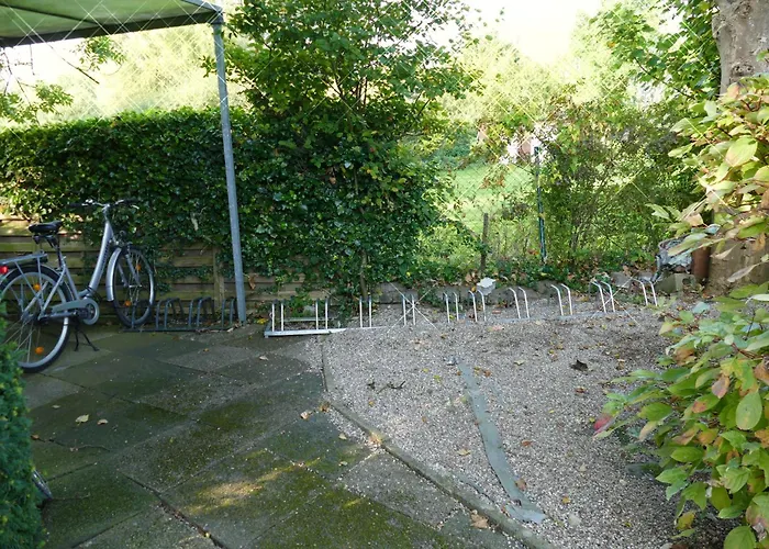 Baltic Nr. 21 * شاربوتس